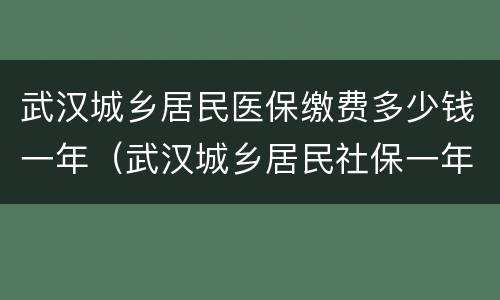 武汉城乡居民医保缴费多少钱一年（武汉城乡居民社保一年要交多少钱）