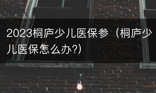 2023桐庐少儿医保参（桐庐少儿医保怎么办?）