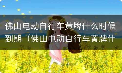 佛山电动自行车黄牌什么时候到期（佛山电动自行车黄牌什么时候到期啊）