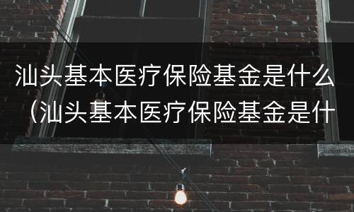 汕头基本医疗保险基金是什么（汕头基本医疗保险基金是什么钱）