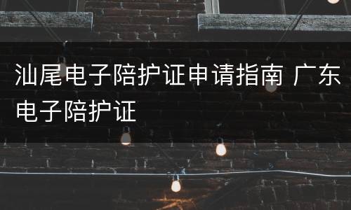 汕尾电子陪护证申请指南 广东电子陪护证