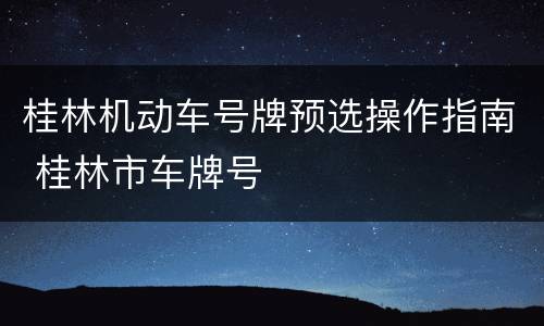 桂林机动车号牌预选操作指南 桂林市车牌号