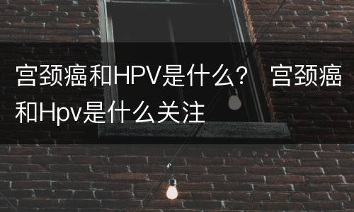 宫颈癌和HPV是什么？ 宫颈癌和Hpv是什么关注