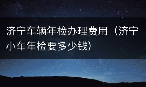 济宁车辆年检办理费用（济宁小车年检要多少钱）