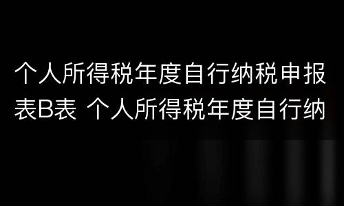 个人所得税年度自行纳税申报表B表 个人所得税年度自行纳税申报表B