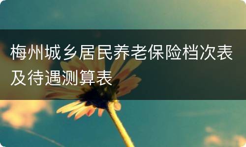 梅州城乡居民养老保险档次表及待遇测算表