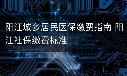 阳江城乡居民医保缴费指南 阳江社保缴费标准