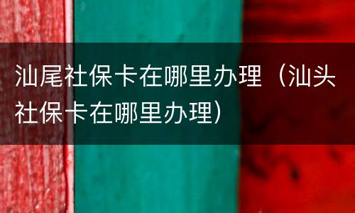 汕尾社保卡在哪里办理（汕头社保卡在哪里办理）