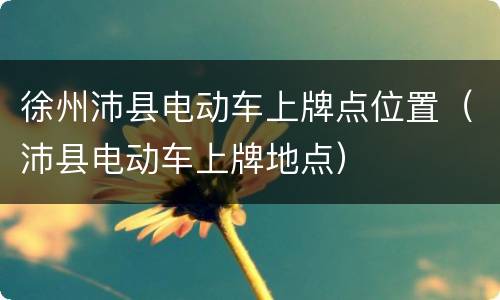 徐州沛县电动车上牌点位置（沛县电动车上牌地点）