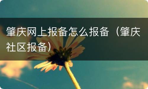 肇庆网上报备怎么报备（肇庆社区报备）