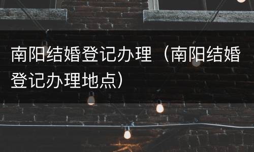 南阳结婚登记办理（南阳结婚登记办理地点）