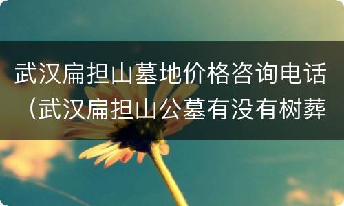 武汉扁担山墓地价格咨询电话（武汉扁担山公墓有没有树葬）