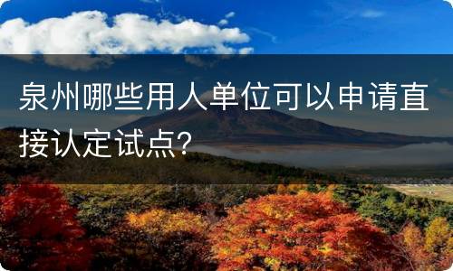 泉州哪些用人单位可以申请直接认定试点？
