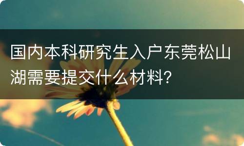 国内本科研究生入户东莞松山湖需要提交什么材料？