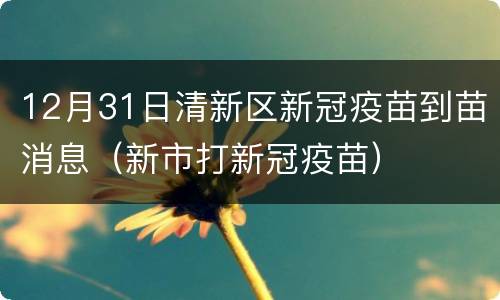 12月31日清新区新冠疫苗到苗消息（新市打新冠疫苗）