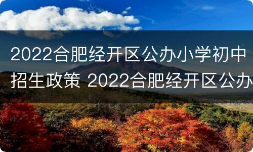 2022合肥经开区公办小学初中招生政策 2022合肥经开区公办小学初中招生政策解读