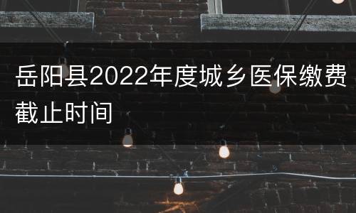 岳阳县2022年度城乡医保缴费截止时间