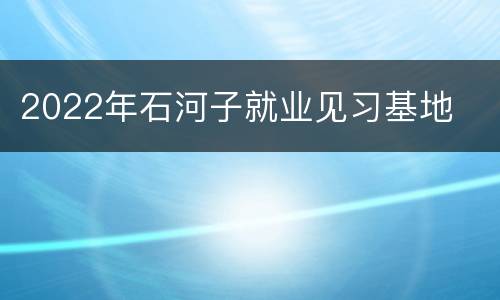 2022年石河子就业见习基地
