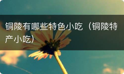 铜陵有哪些特色小吃（铜陵特产小吃）