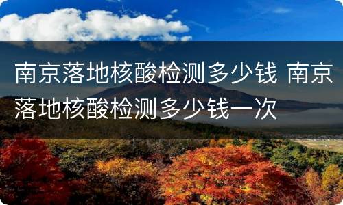 南京落地核酸检测多少钱 南京落地核酸检测多少钱一次