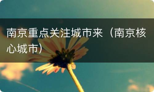 南京重点关注城市来（南京核心城市）