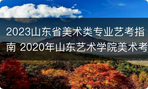 2023山东省美术类专业艺考指南 2020年山东艺术学院美术考题