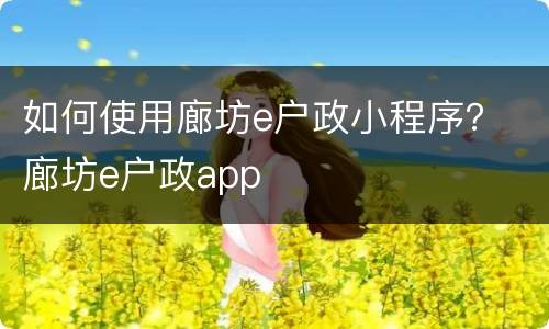 如何使用廊坊e户政小程序？ 廊坊e户政app