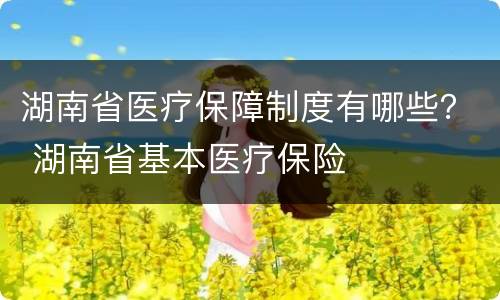 湖南省医疗保障制度有哪些？ 湖南省基本医疗保险