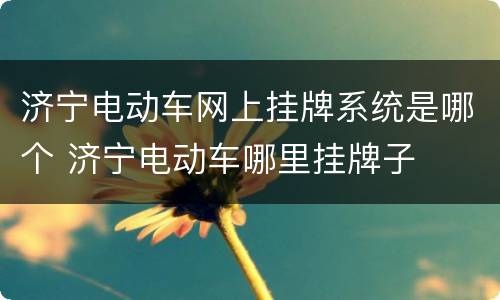 济宁电动车网上挂牌系统是哪个 济宁电动车哪里挂牌子
