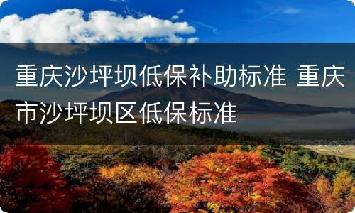 重庆沙坪坝低保补助标准 重庆市沙坪坝区低保标准