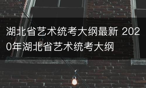 湖北省艺术统考大纲最新 2020年湖北省艺术统考大纲