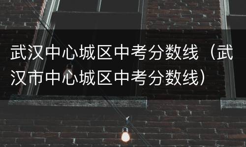 武汉中心城区中考分数线（武汉市中心城区中考分数线）
