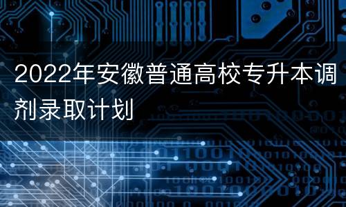 2022年安徽普通高校专升本调剂录取计划