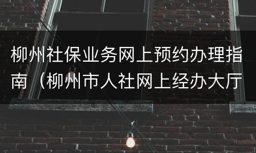 柳州社保业务网上预约办理指南（柳州市人社网上经办大厅）