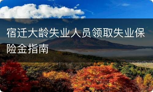 宿迁大龄失业人员领取失业保险金指南