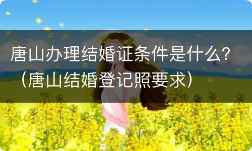 唐山办理结婚证条件是什么？（唐山结婚登记照要求）