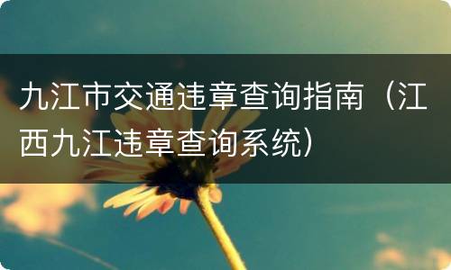 九江市交通违章查询指南（江西九江违章查询系统）