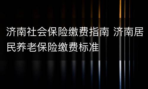 济南社会保险缴费指南 济南居民养老保险缴费标准