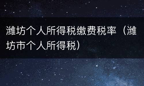 潍坊个人所得税缴费税率（潍坊市个人所得税）