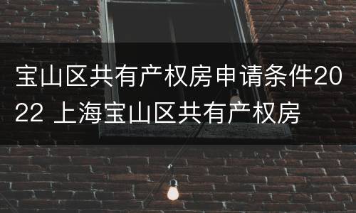 宝山区共有产权房申请条件2022 上海宝山区共有产权房