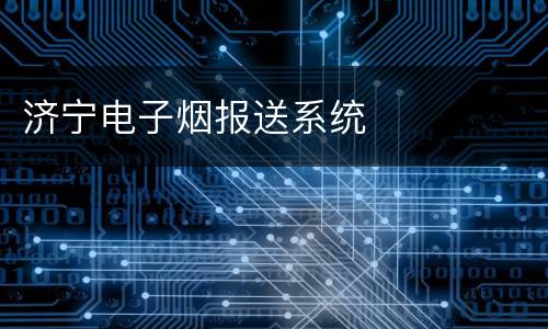 济宁电子烟报送系统