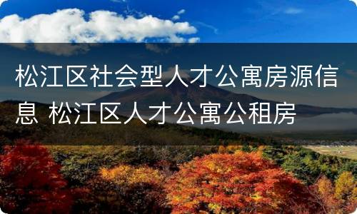 松江区社会型人才公寓房源信息 松江区人才公寓公租房