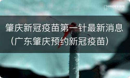 肇庆新冠疫苗第一针最新消息（广东肇庆预约新冠疫苗）