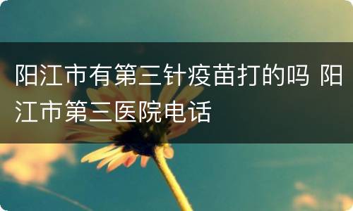 阳江市有第三针疫苗打的吗 阳江市第三医院电话
