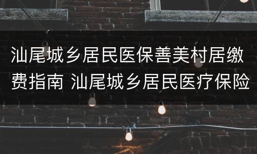 汕尾城乡居民医保善美村居缴费指南 汕尾城乡居民医疗保险电话