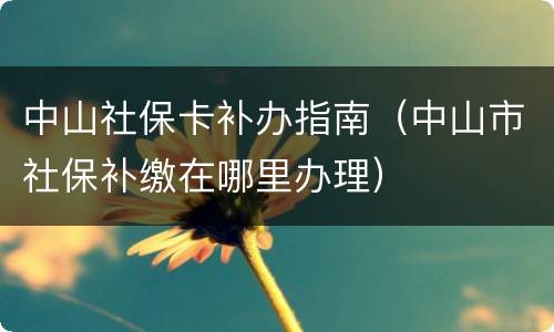 中山社保卡补办指南（中山市社保补缴在哪里办理）
