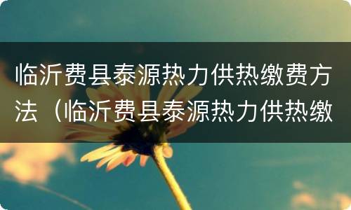 临沂费县泰源热力供热缴费方法（临沂费县泰源热力供热缴费方法电话）