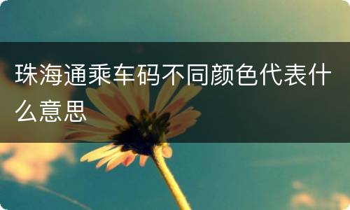 珠海通乘车码不同颜色代表什么意思