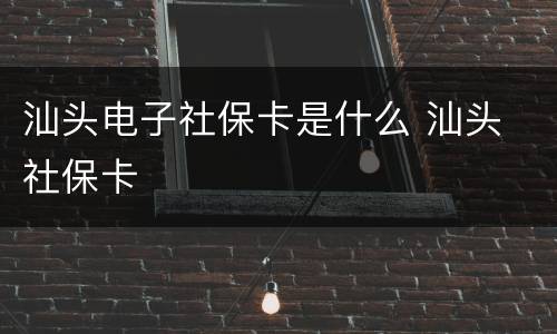 汕头电子社保卡是什么 汕头 社保卡