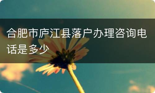 合肥市庐江县落户办理咨询电话是多少